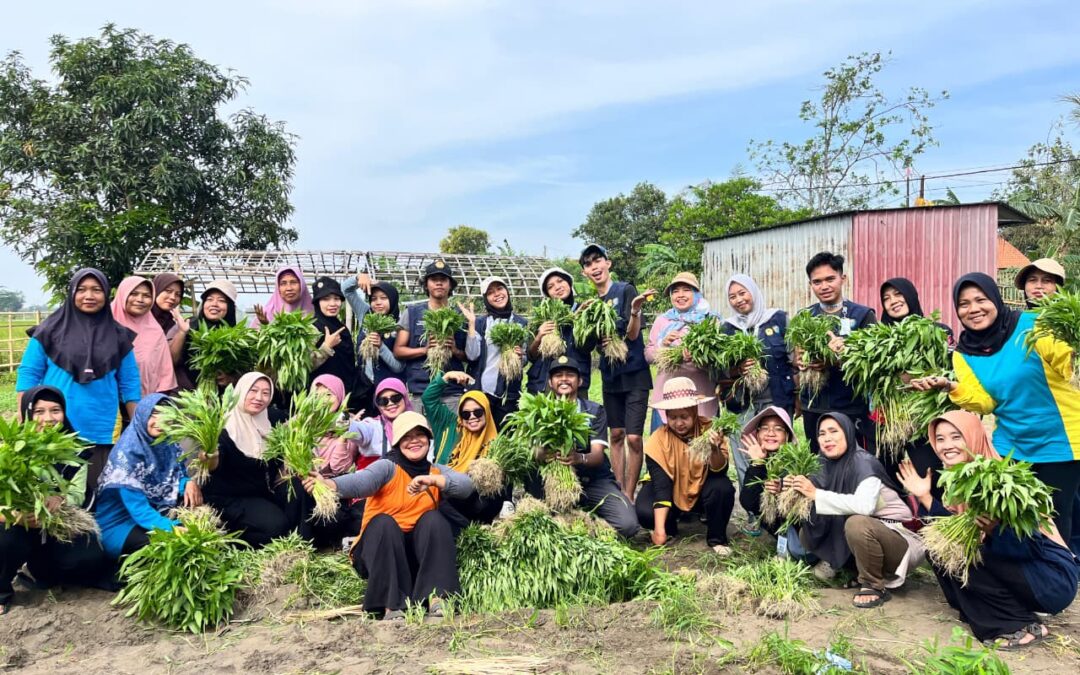 Panen Raya Kangkung di Dusun Kemambang, Wujud Sinergi Pemerintah Desa dan Masyarakat